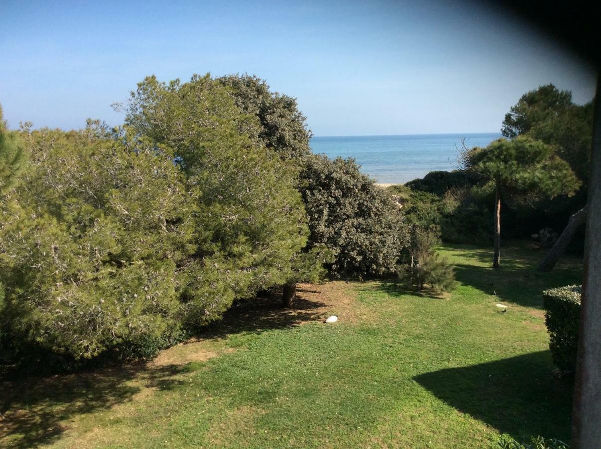 הייר Entre Mer Et Piscine מראה חיצוני תמונה